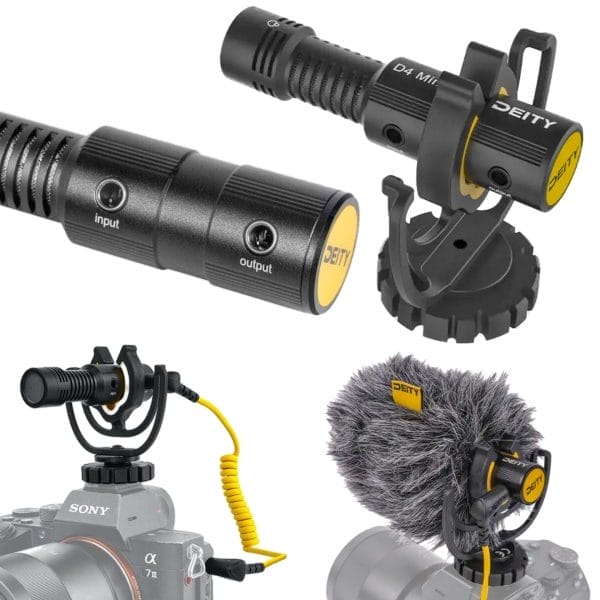 Deity V Mic D4